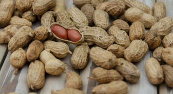 ¿Se pueden comer cacahuetes crudos? Todo lo que necesitas saber