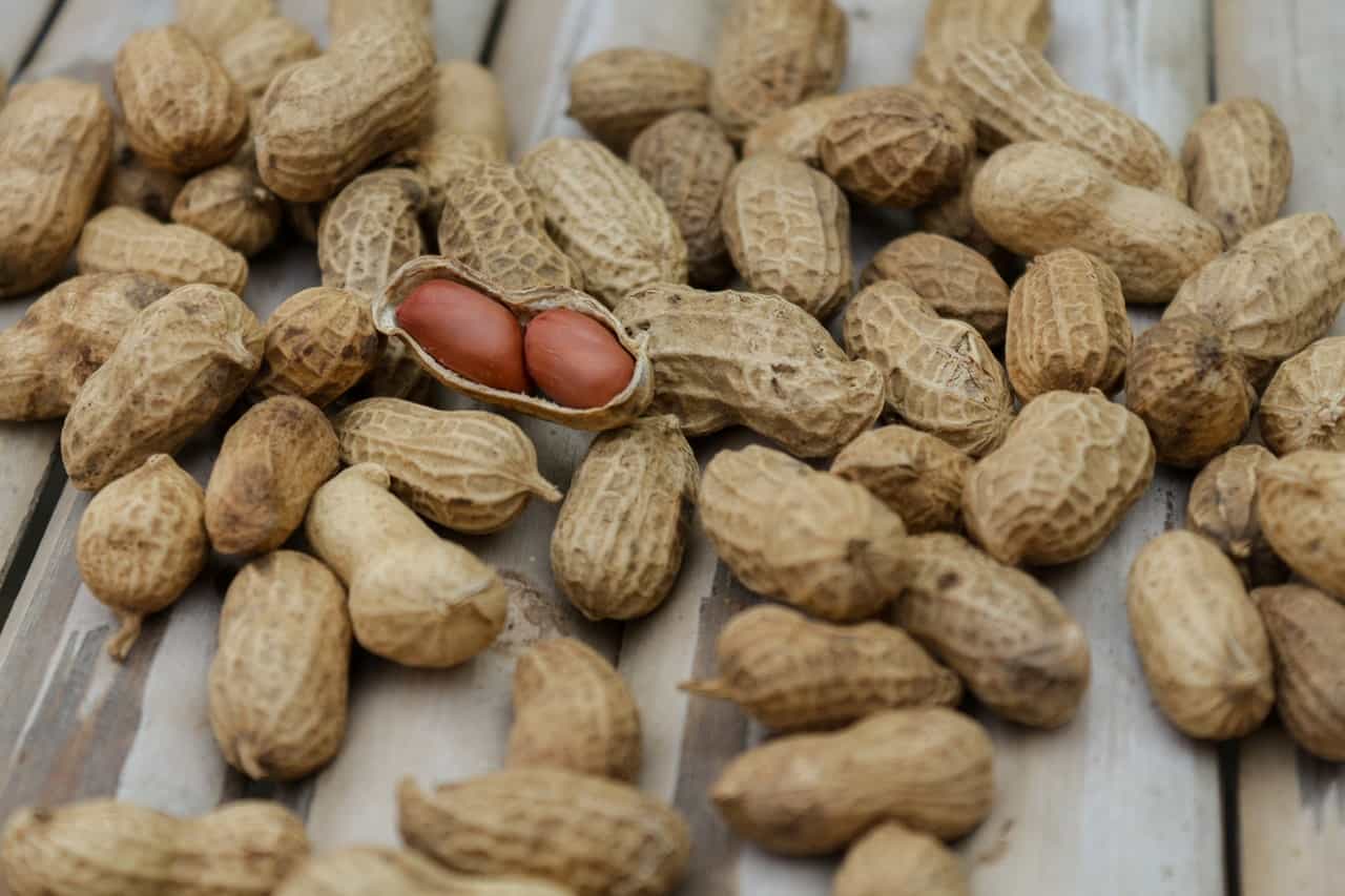 ¿Se puede comer cacahuetes crudos Todo lo que necesitas saber