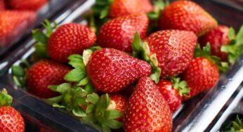 ¿Cómo lavar las fresas?