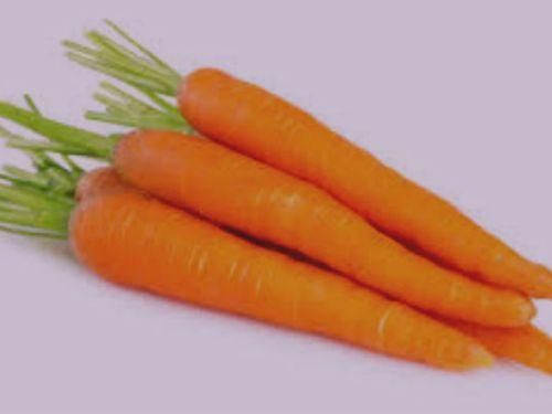 zanahoria y sus propiedades