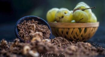 [Diferencia] Amla vs Camu Camu