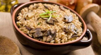 [Guia] Los 3 mejores hongos para el risotto