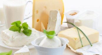 [Diferencias] Queso vs Mantequilla