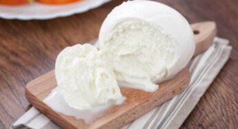 Los mejores sustitutos de la mozzarella