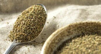 Los mejores sustitutos de la semilla de apio