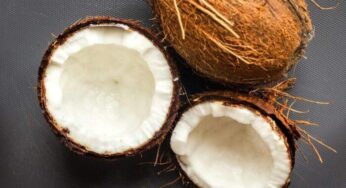 [Sustitutos] Los mejores sustitutos del agua de coco