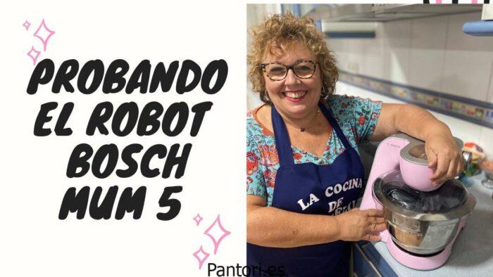 Batidora Bosch Maxomixx