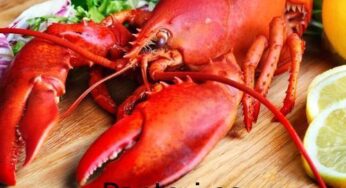 Cómo guardar las langostas antes de consumirlas