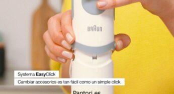 Desarmar Batidora Braun