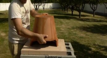 Horno Para Pizza Casero