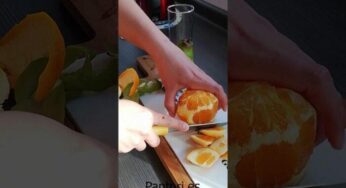 Instructivo De Una Licuadora