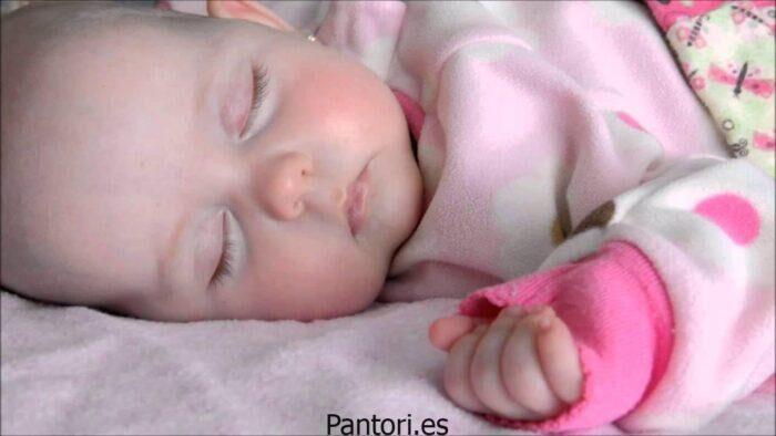 Licuadora Para Bebes