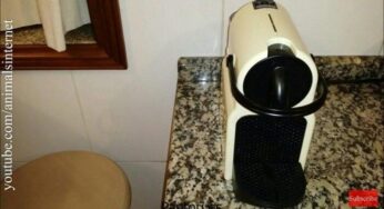 Limpiar Cafetera Nespresso Krups