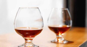 [Sustitutos] Los 7 mejores sustitutos del brandy