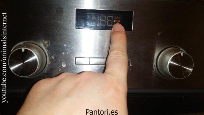 Pirolisis Horno Balay