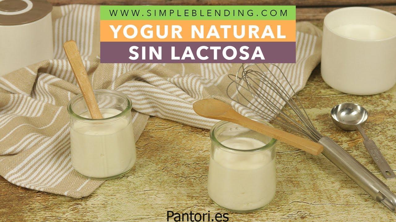 Yogur En Robot De Cocina