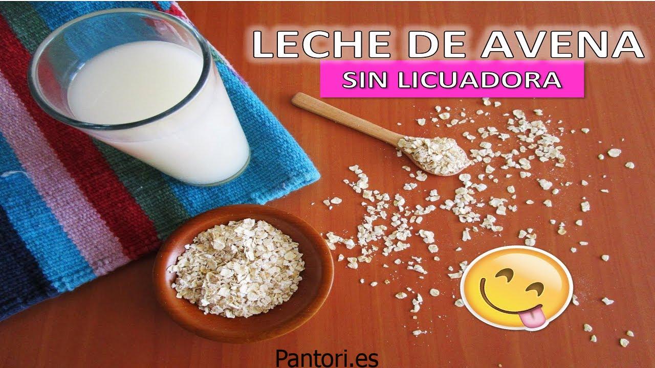 Licuadora Leche Vegetal
