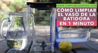 Recambios Batidora Solac Bv 5722