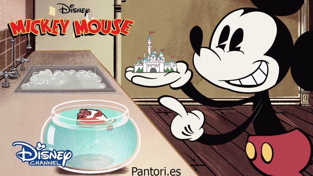 Robot De Cocina Quemaduras Marca