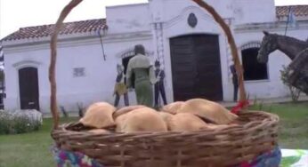 Tiempo Horno Empanadillas