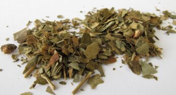 Cómo deshidratar albahaca en el horno: Consejos y trucos