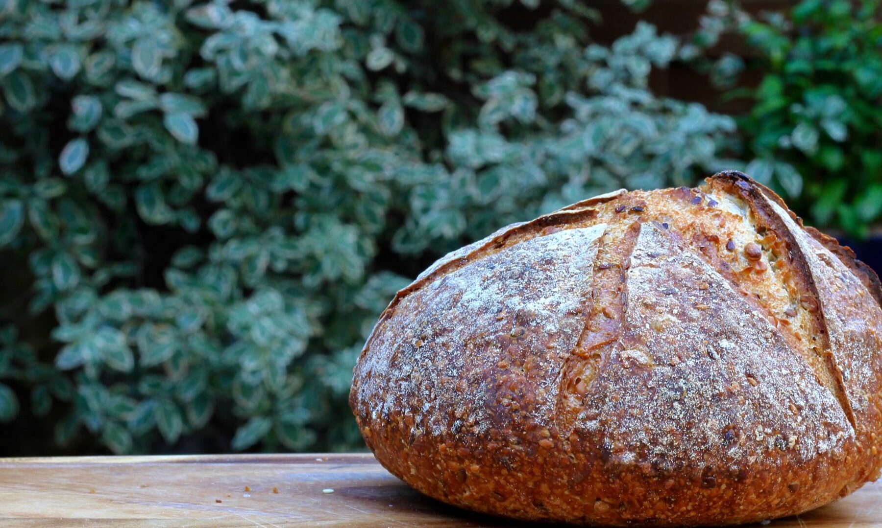 ¿Es posible congelar una deliciosa torta de manzana? Descubre la respuesta aquí