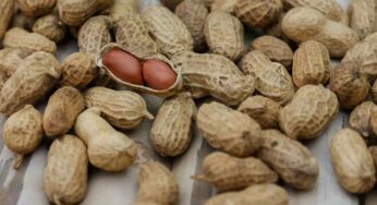 Cacahuetes crudos: descubre los beneficios de consumirlos sin tostar