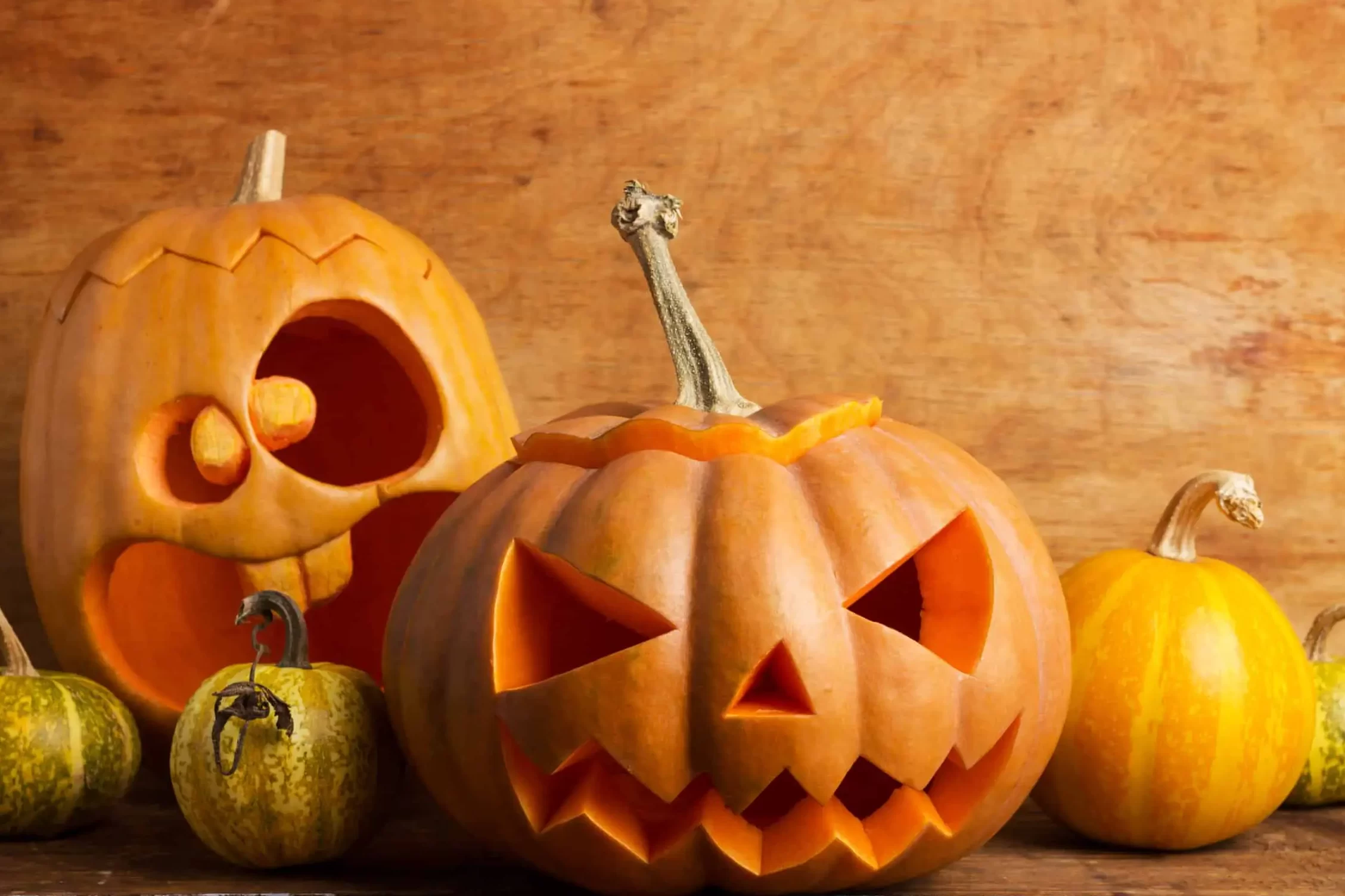 ¿Cuánto tiempo puede durar una calabaza cerrada? Descúbrelo aquí.