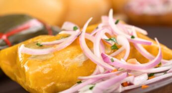 Cómo calentar tamales en agua: la guía definitiva