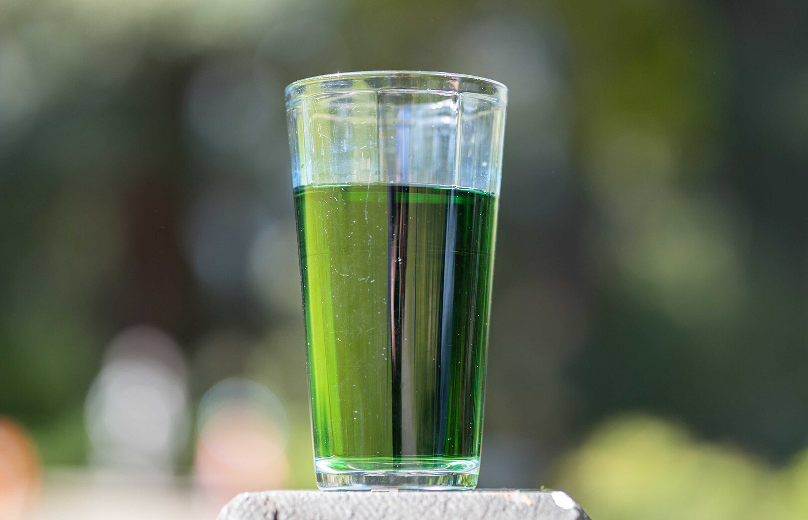 Descubre los increíbles beneficios de la chía remojada en agua