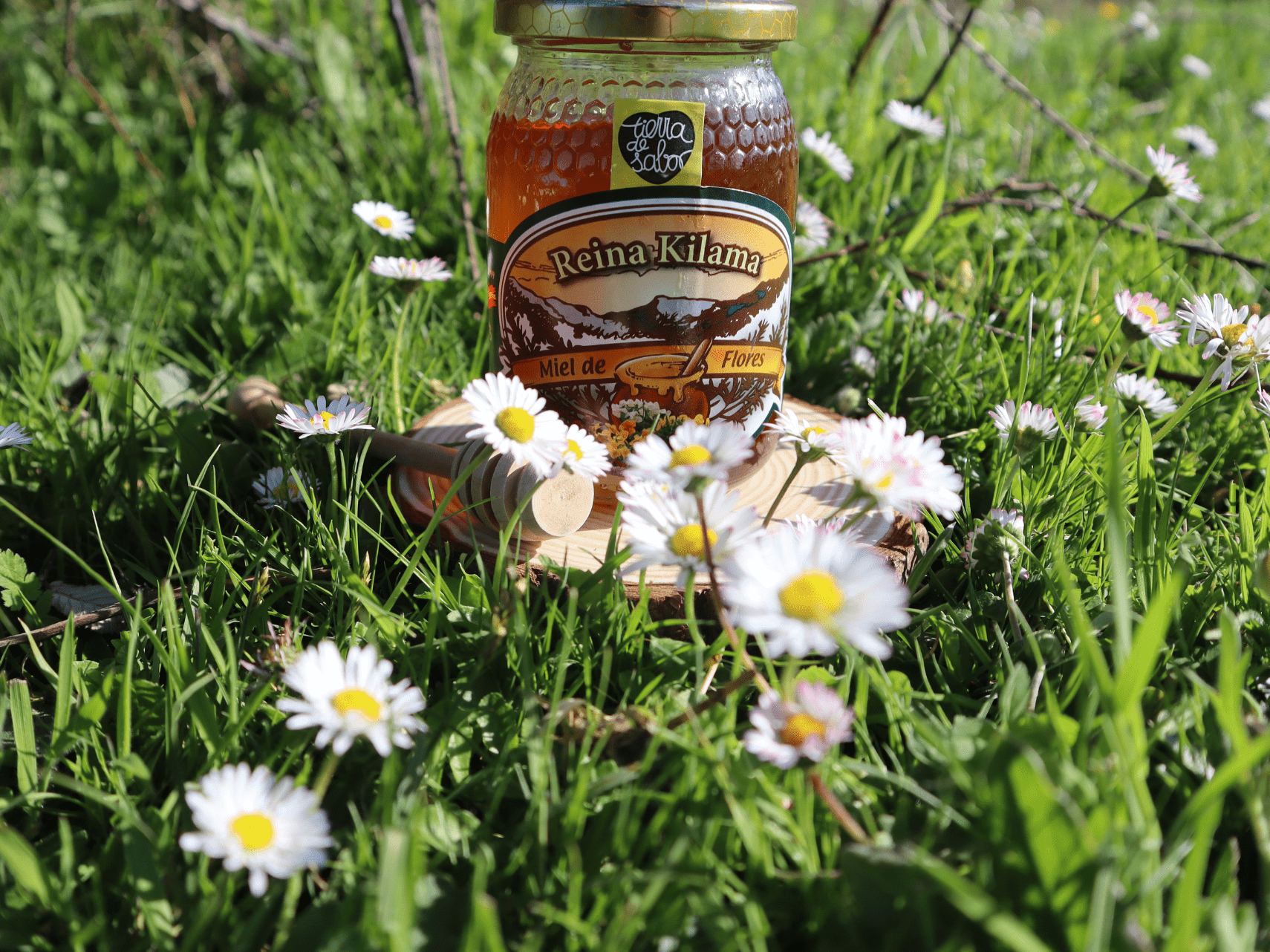 ¿Se puede congelar la miel? Descubre cómo hacerlo sin arruinar su sabor y propiedades.