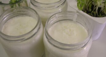 ¿Es posible congelar el yogur? Consejos y precauciones