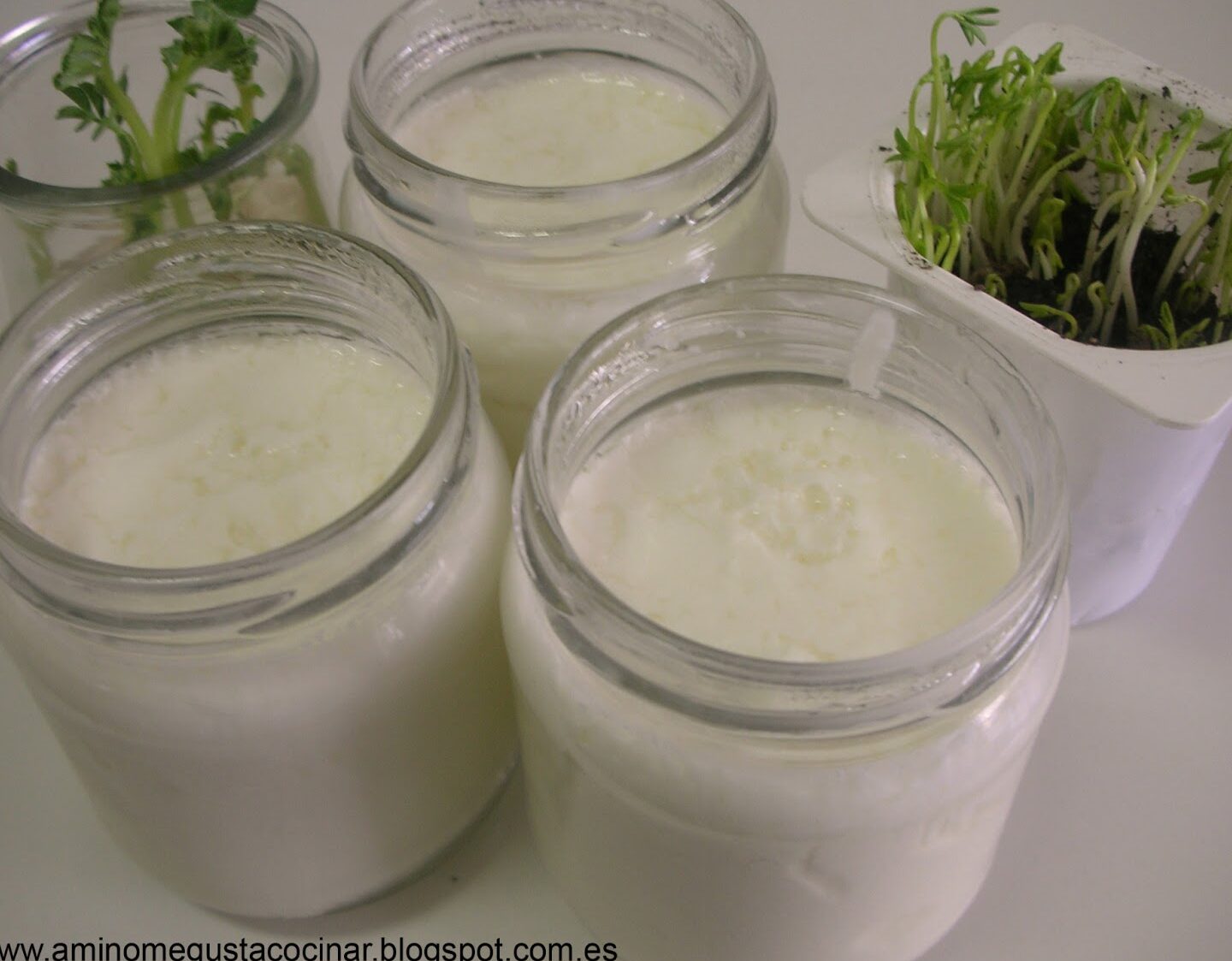 ¿Es posible congelar el yogur? Consejos y precauciones