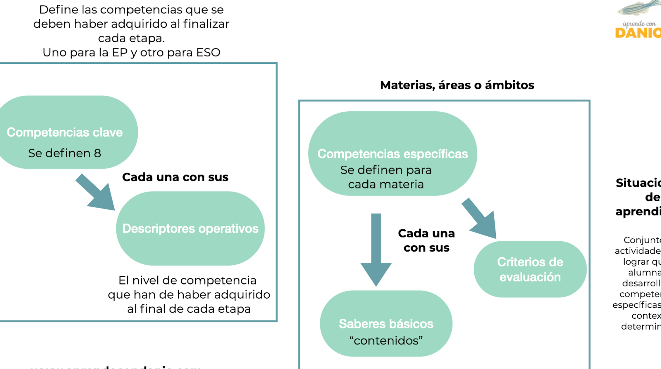 ¿Cuál es la diferencia? Descubre las claves para entenderlo todo