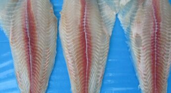 Durian vs Jaca: ¿Cuál es la fruta más exótica y deliciosa?