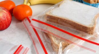 ¿Es posible congelar los sandwiches? Descubre cómo hacerlo correctamente.