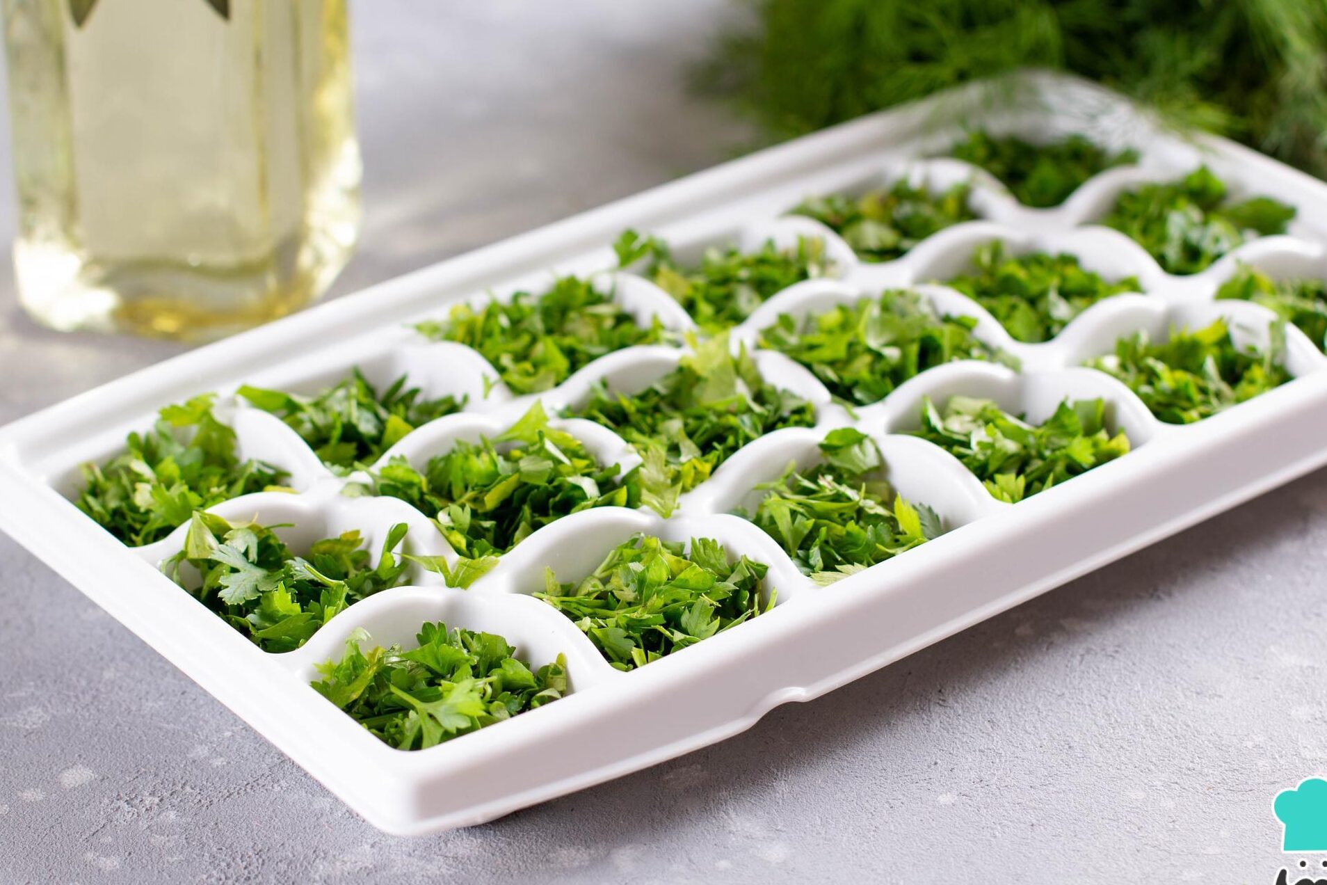 Salsa siempre fresca: descubre cómo congelarla adecuadamente.