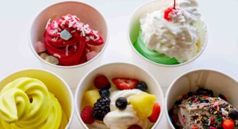 ¿Cuánto tiempo puedes disfrutar el yogurt congelado? Descúbrelo aquí