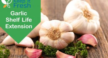 ¿Sabías que el ajo se echa a perder? Descubre cómo evitarlo.