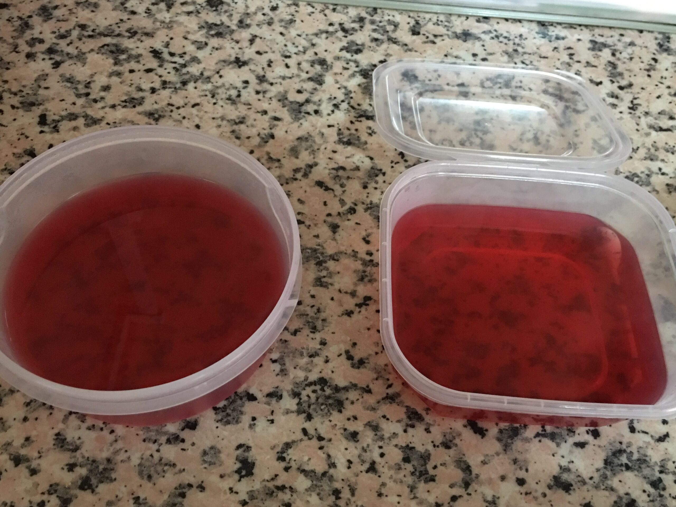 ¿Cuánto tiempo puede durar la deliciosa gelatina casera en la nevera?