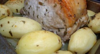 ¿Cuánto tiempo dura un horno eléctrico? Descubre la vida útil de tu electrodoméstico