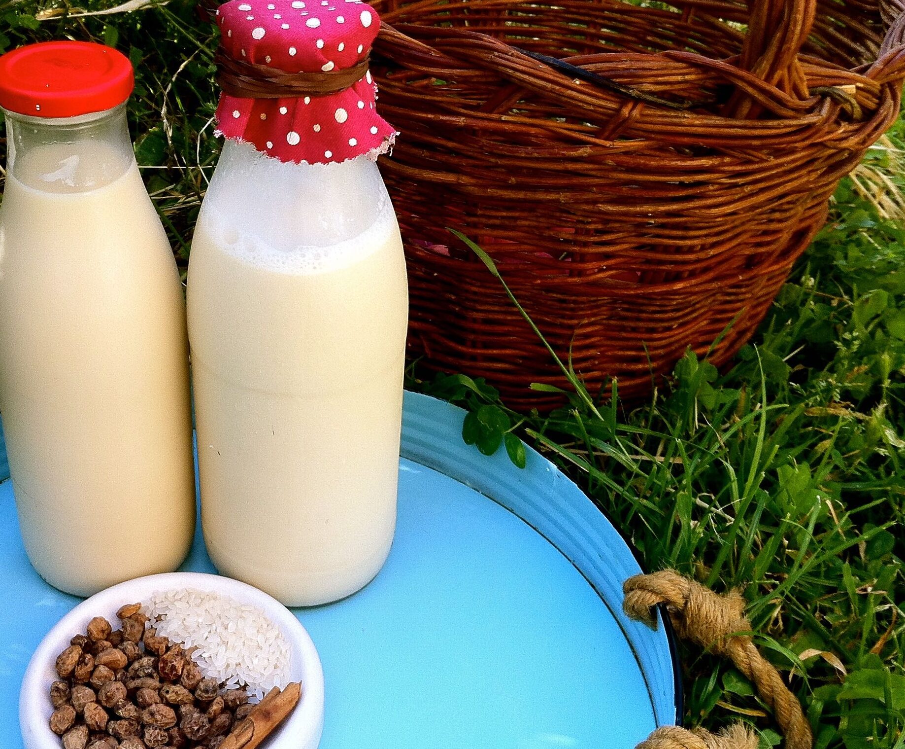 Técnica sorprendente: ¿Es posible congelar la leche de almendras?
