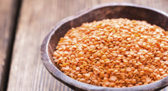 Cómo conservar lentejas cocidas: Guía rápida de congelación