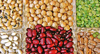 ¿Cuánto tiempo duran las lentejas congeladas? Guía completa de almacenamiento y conservación