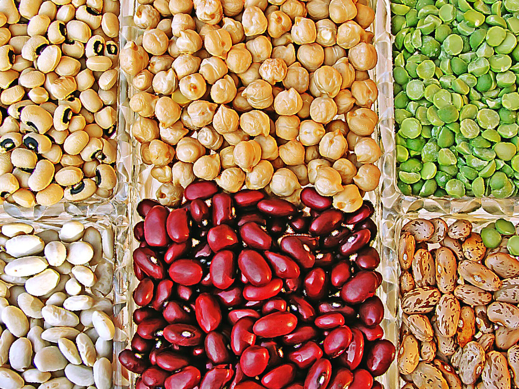 ¿Cuánto tiempo duran las lentejas congeladas? Guía completa de almacenamiento y conservación