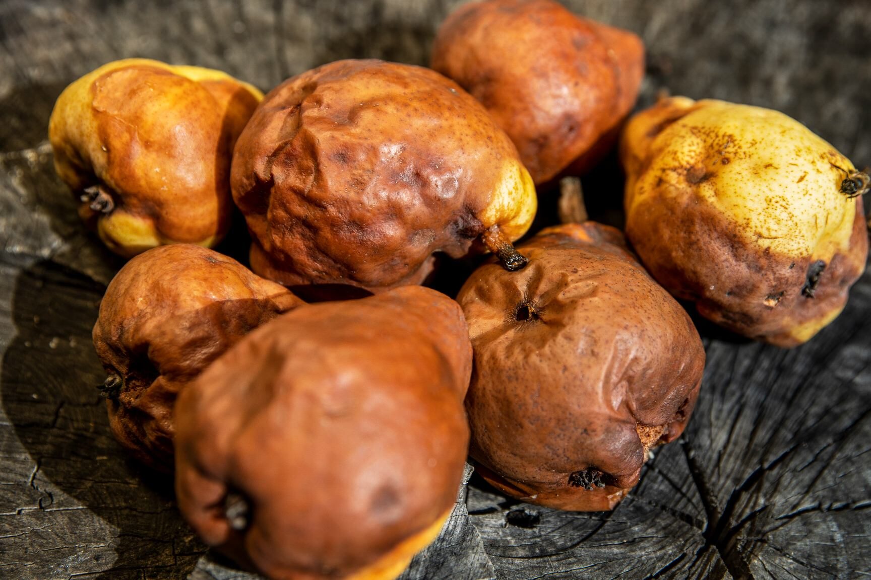 5 deliciosas formas de aprovechar peras maduras: ¡no las desperdicies!