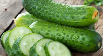 ¿Pepino o calabacín? Descubre cuál es el rey de la huerta
