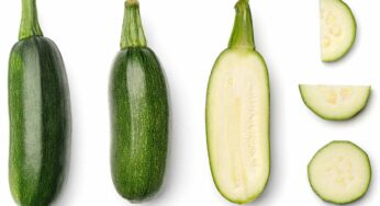 Descubre los sorprendentes beneficios de la piel de calabacín