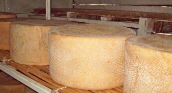 Descubre las mejores alternativas al queso cotija para tus platillos favoritos