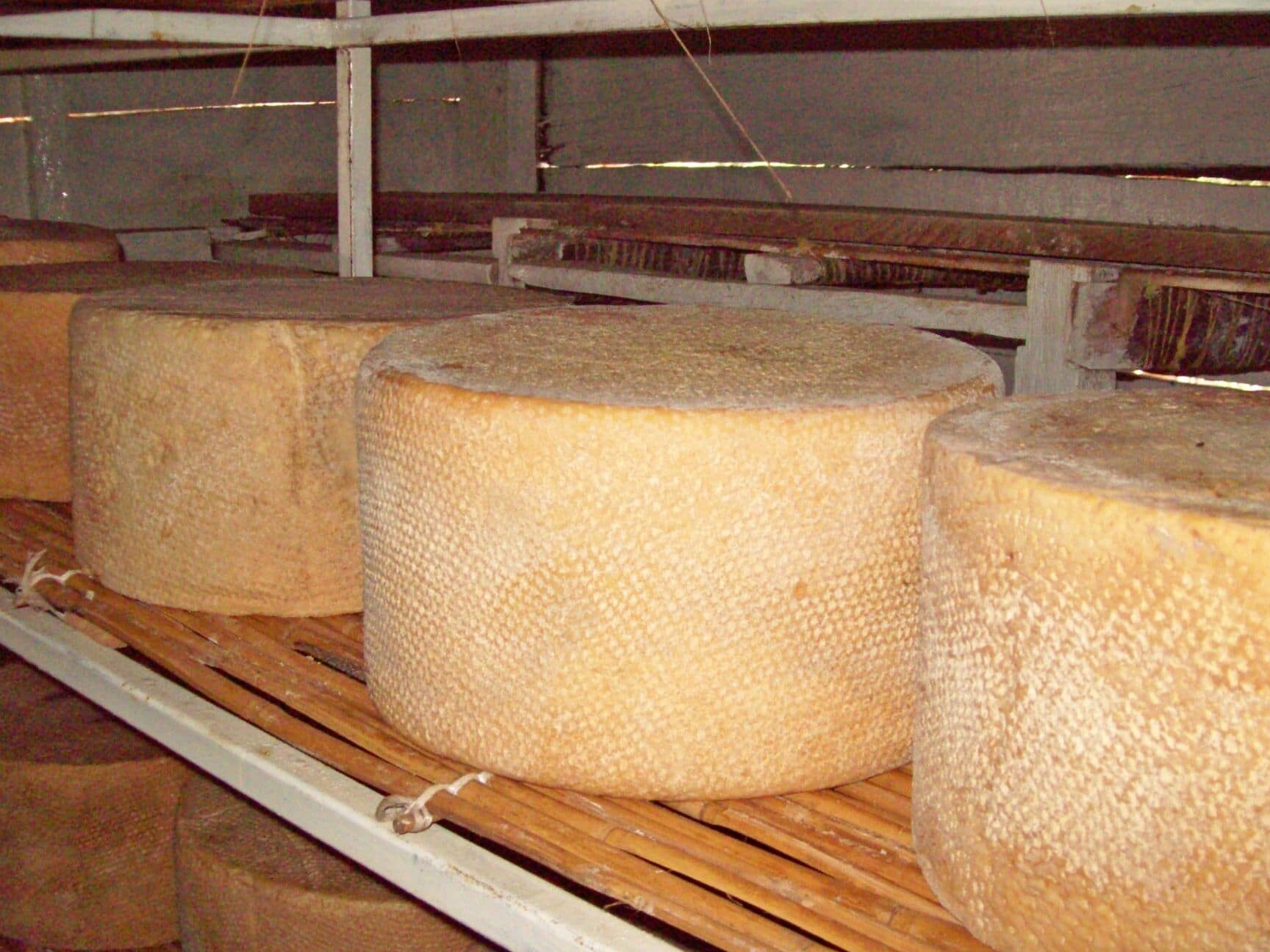 Descubre las mejores alternativas al queso cotija para tus platillos favoritos